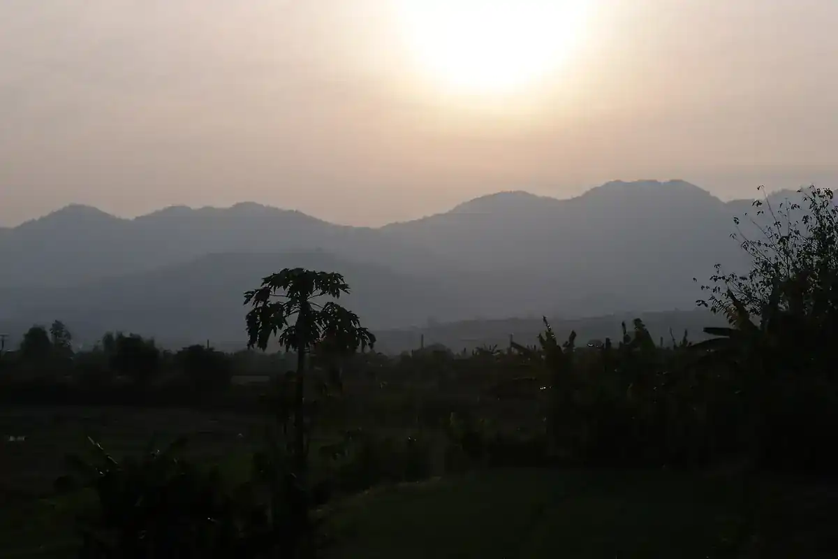Pai