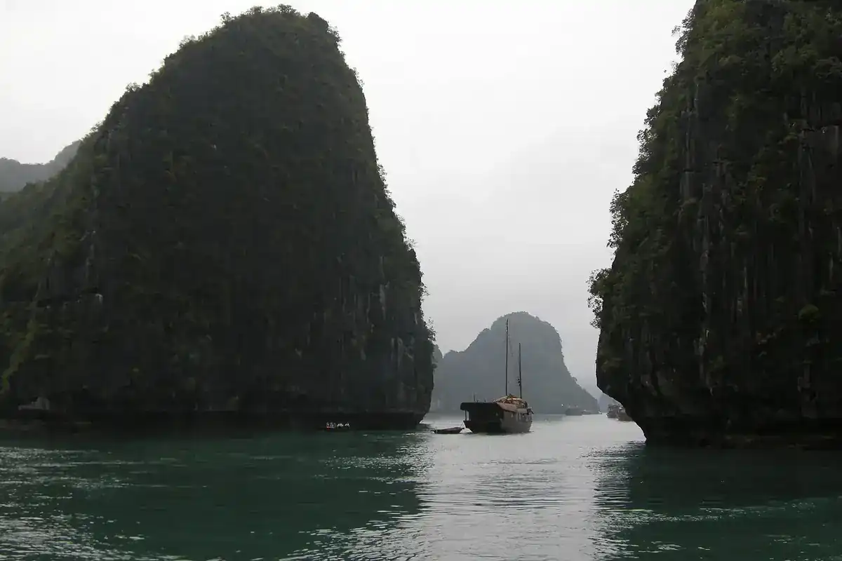เวียดนาม